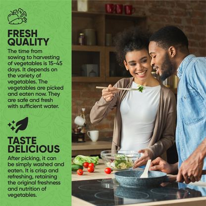 Hydroponic Tower Garden with Automated LED Lights Remote Controlled & Automated Setup